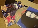 Dead or Alive Rip it Up LP 12