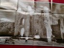 U2 The Unforgettable Fire Promotional Poster 1984 Mega Large Size