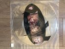 2 RARE UNCUT SHAPES Pic Disc Vixen Great White Kiss Iron Maiden