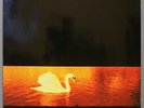 LP Van Morrison - Avalon Sunset
