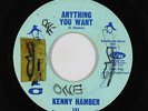 Northern/Deep Soul 45 - Kenny Hamber - Anything You Want - Arctic - mp3