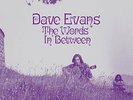 DAVE EVANS - THE WORDS IN BETWEEN   VINYL LP + MP3 NEU