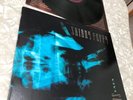 Skinny Puppy VIVIsectVI PLAY TESTED LP Record Album C1-91040