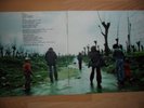 Original Italian Prog/Jazz Rock NAPOLI CENTRALE 