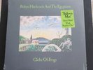 Robyn Hitchcock Globe of Frogs LP Record Sealed Vinyl REM Peter Buck Soft Boys