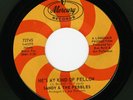 Northern Soul 45 SANDY & THE PEBBLES: He’s My Kind of Fellow MERCURY Mint-