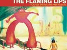The Flaming Lips-Yoshimi Battles the Pink Robots (UK IMPORT) VINYL NEW