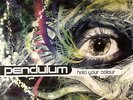 PENDULUM - Hold Your Colour - Vinyl (3xLP)