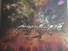 Poison the Well - Opposite of December/Tear from the Red (2012) Vinyl CLEAR