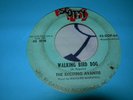 THE EXCITING AVANTIS - Walking Bird Dog/My Plea. RARE  Pittsburgh, Pa ROCK R&B