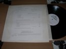 TED NUGENT AND THE AMBOY DUKES - Call Of The Wild. 1974. RARE TEST PRESSING *EX+