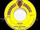 MICHIGAN GARAGE PSYCH 45-