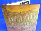 LP SAVOY BROWN - BLUE MATTER // USA PARROT // PROG BLUES ROCK // **** MINT- ****