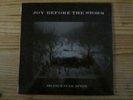 Sealed Darkwave Private Electro LP JOY BEFORE THE STORM silence ever after ORIG