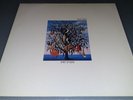 Tolles TALK TALK 12” Vinyl Album -Spirit Of Eden- Parlophone ?064 7 46977 1 DMM