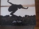 Into The Wild Vinyl LP Record, Eddie Vedder Execellent, 180-220 gram