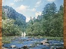 Mark & Bonnie Branciaroli - Wandering the Woods LP Private Folk Psych