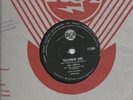 NEIL  SEDAKA   SOUTH  AFRICA   78  CALENDAR  GIRL