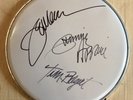 AUTOGRAPHED DRUM HEAD BY JEFF BECK, TIM BOGERT & CARMINE APPICE