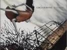Circa Survive Juturna - Deluxe Ten Year Edition ... vinyl LP  record USA