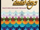 The Beach Boys-That's Why God Made the Radio Vinyl / 12