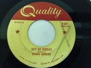 Mega  rockabilly RONNIE HAWKINS 