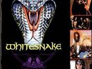 Whitesnake tour programme Monsters Of Rock 1990 UK FESTIVAL PROGRAMME 1990
