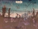 *SIGNED* SUEDE The Blue Hour LP Indies Only Blue Vinyl NEW