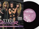 STEEL PANTHER  Community Property  7
