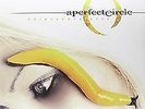 Thirteenth Step [Vinyl LP] von A Perfect Circle | CD | Zustand sehr gut