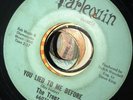 The Treez 45 You Lied To Me Before Chicago Psych Garage Fuzz Punk Monster