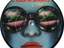 A Flock Of Seagulls ?– I Ran Picture Disc 7