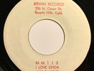JAN & ARNIE I Love Linda/The Beat RARE TEST PRESSING 1958 Arwin Jan+Dean VG++