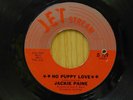 Jackie Paine 45 No Puppy Love bw At Your Wedding on Jet Stream