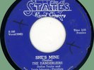DANDERLIERS She's Mine / My Love 45rpm States 1956 original Chicago doo-wop