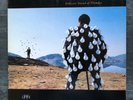 pink floyd vinyl „delicate sound of thunder“