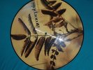 Amorphis- Tuonela- Picture Vinyl