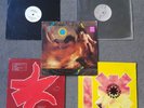 Red Hot Chili Peppers - Taste the Pain + Promos 5 x 12