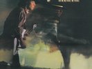 Stevie Ray Vaughan & Double Trouble ?– Couldn't Stand The Weather Vinyl 2LP NEW