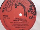 Ethel Beatty ?– I Know You Care 12 Roy Ayers Rare Reissue