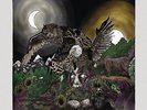 Avatar - Feathers & Flesh DLP #113662