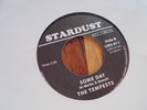 THE TEMPESTS-SOMEDAY/I CRIED FOR YOU-US STARDUST REISSUE-NORTHERN SOUL-SEE SCANS