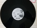 Blondie Rapture Promo 12