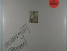 GIRLS Reunion SEALED ORIGINAL 1986 BRASCH MUSIC VINYL PRESS