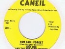 NORTHERN-JOEY DEE & THE NEW STARLIGHTERS-HOW CAN I FORGET-US CANEIL