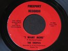 Tropics   I Want More / Goodbye My Love   Freeport   fuzz / garage 45 HEAR