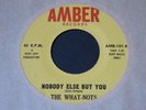 What-Nots   Nobody Else But You / Look Down   Amber   garage psych 45 HEAR