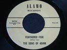 Sons of Adam   Feathered Fish / Baby Show the World   Alamo   garage 45 HEAR