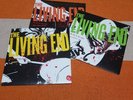 The Living End 7