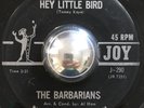 THE BARBARIANS rare garage punk Hey Little Bird Canada 45 LISTEN